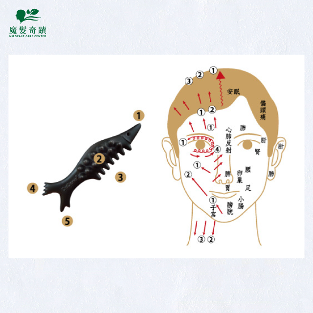 魔可舒產品說明【請勿下單】